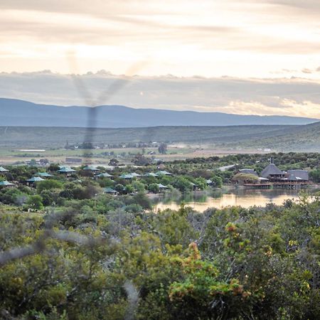 Buffelsdrift Game Lodge Oudtshoorn Eksteriør bilde