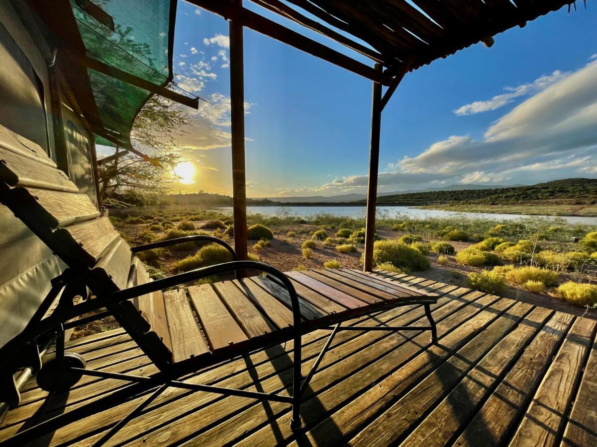 Buffelsdrift Game Lodge Oudtshoorn Eksteriør bilde