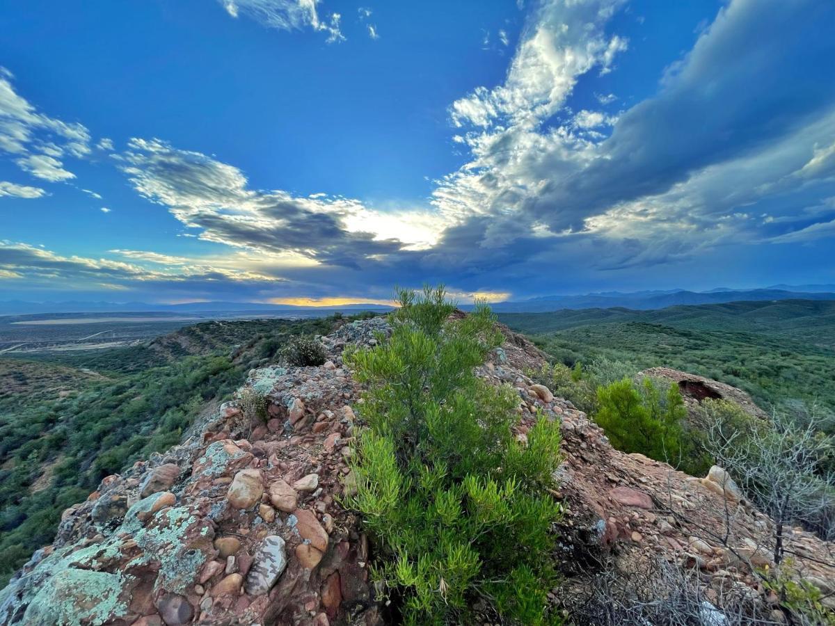 Buffelsdrift Game Lodge Oudtshoorn Eksteriør bilde