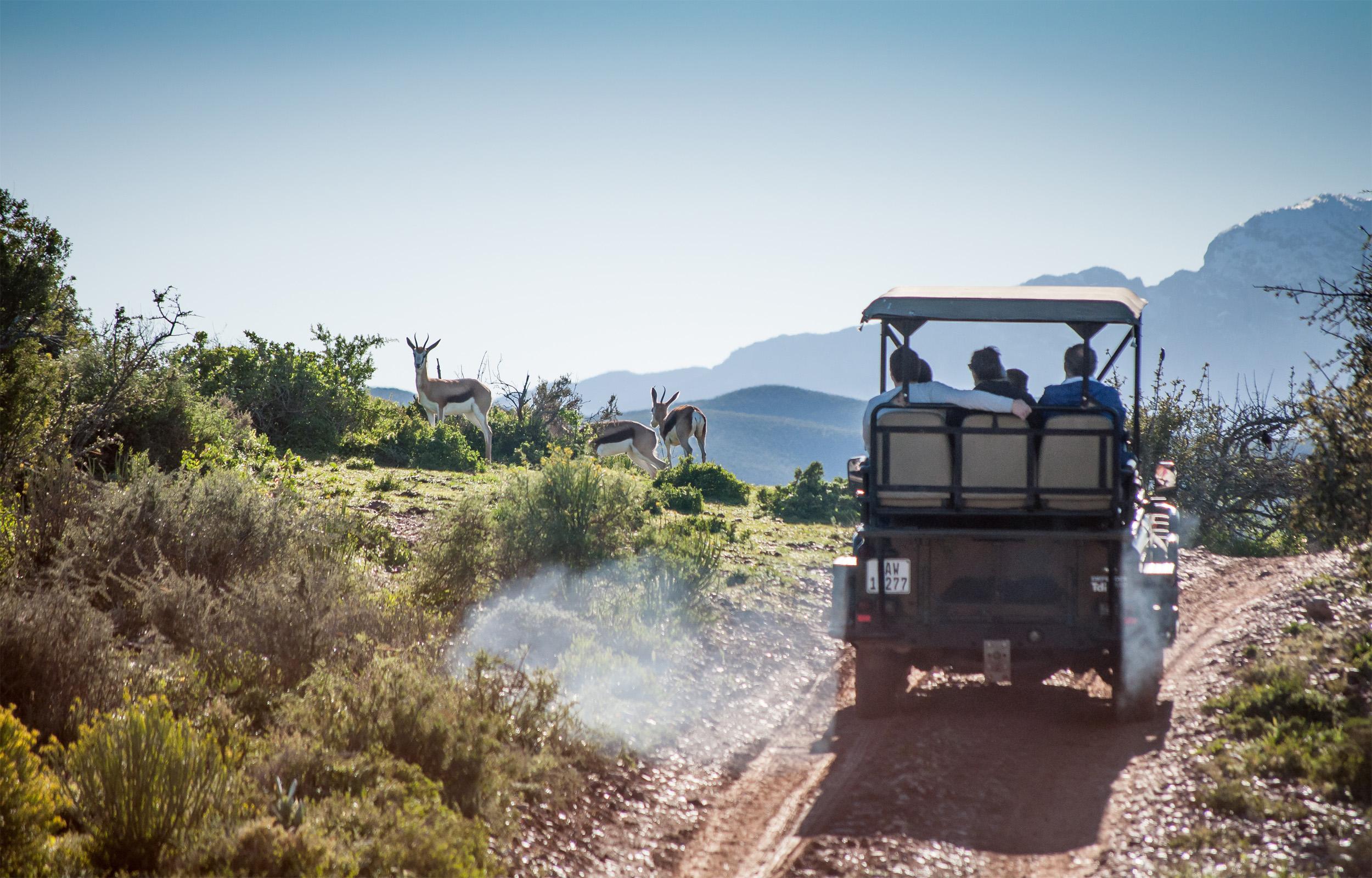 Buffelsdrift Game Lodge Oudtshoorn Eksteriør bilde