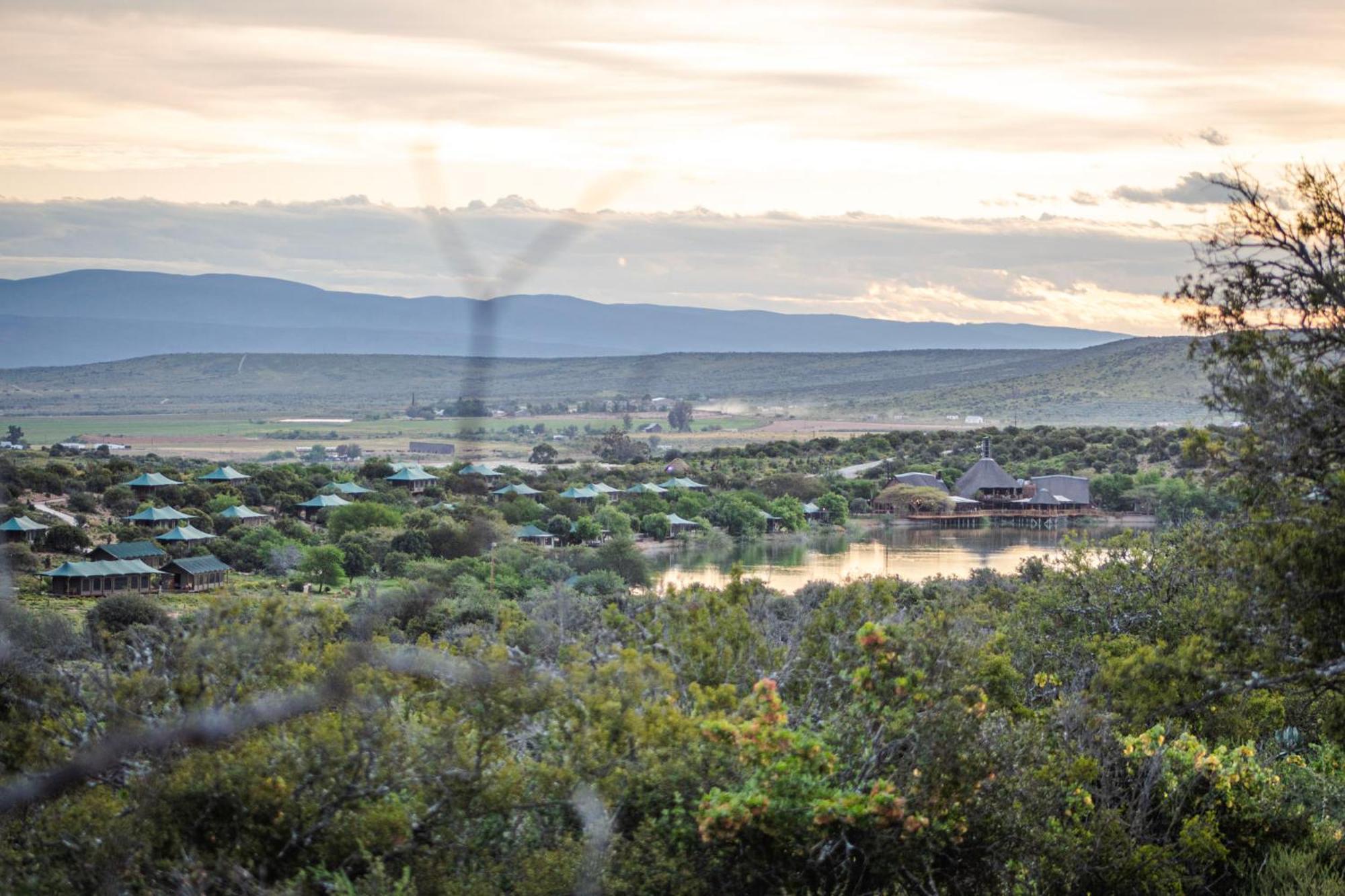 Buffelsdrift Game Lodge Oudtshoorn Eksteriør bilde