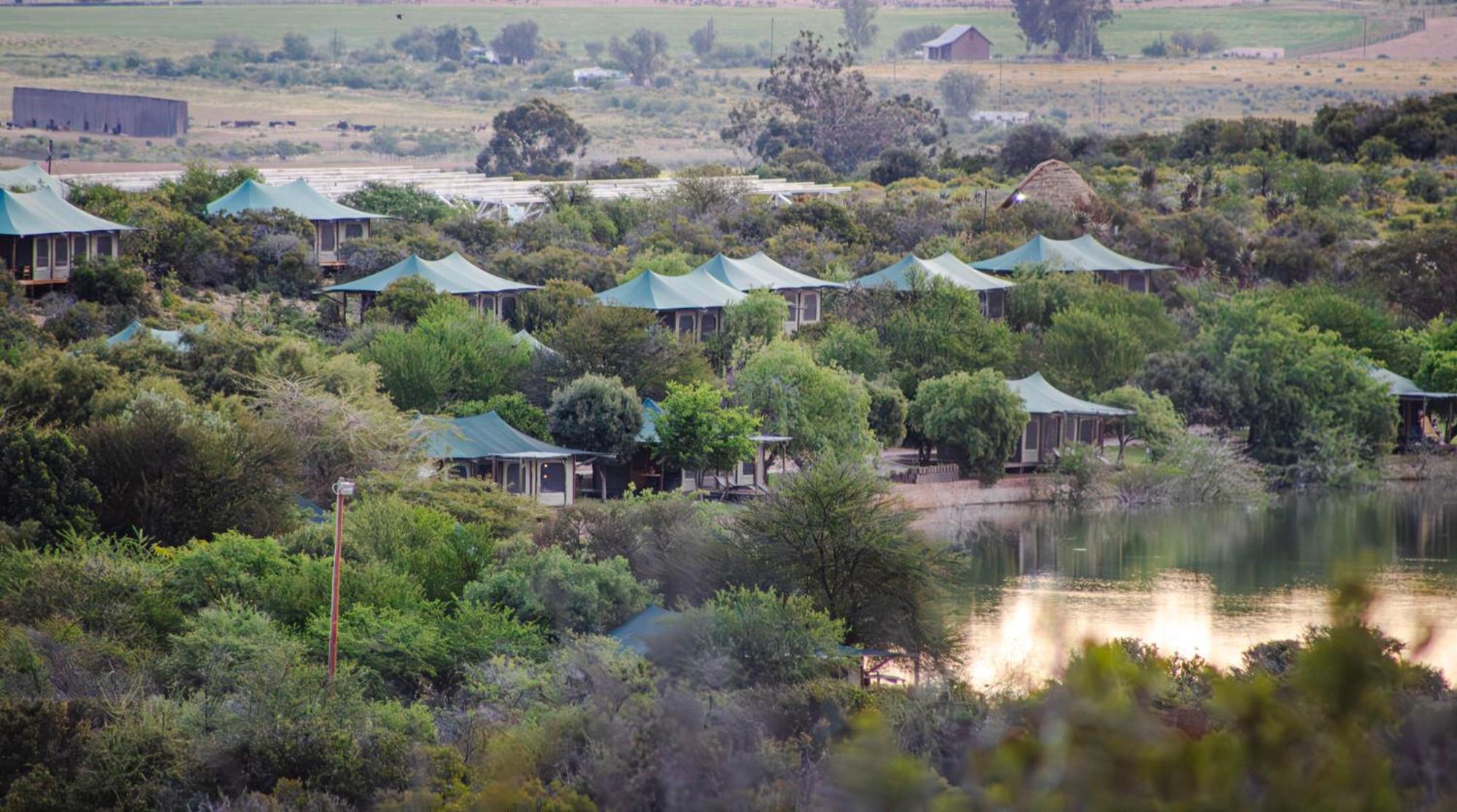 Buffelsdrift Game Lodge Oudtshoorn Eksteriør bilde