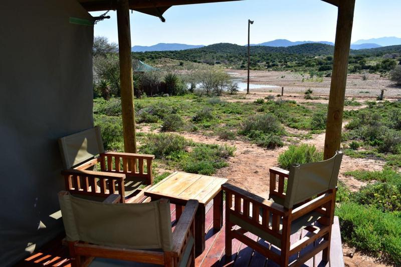 Buffelsdrift Game Lodge Oudtshoorn Rom bilde