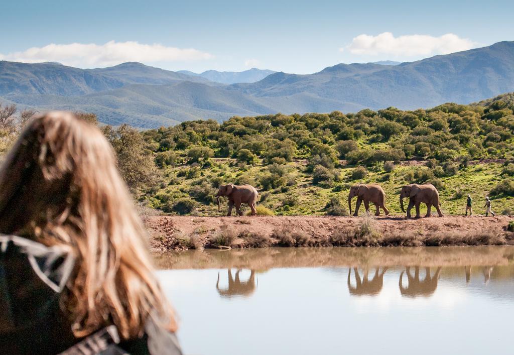 Buffelsdrift Game Lodge Oudtshoorn Eksteriør bilde