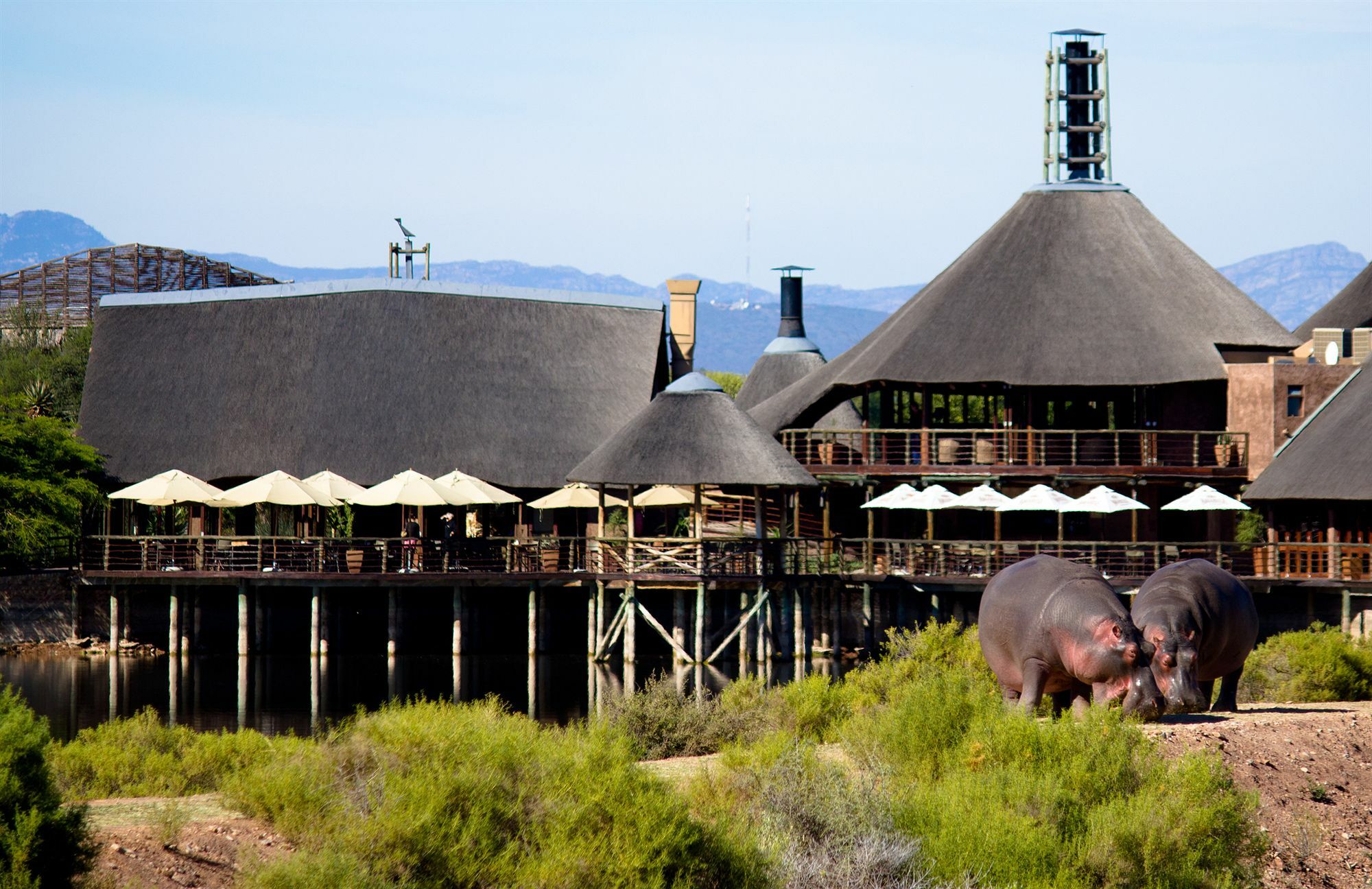 Buffelsdrift Game Lodge Oudtshoorn Eksteriør bilde